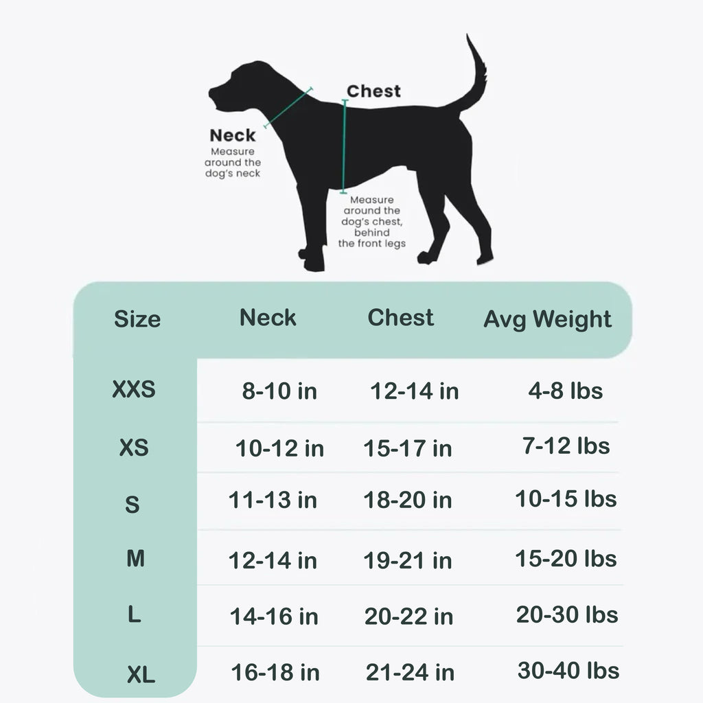 Mystical Haze - Step-in Harness Bundle