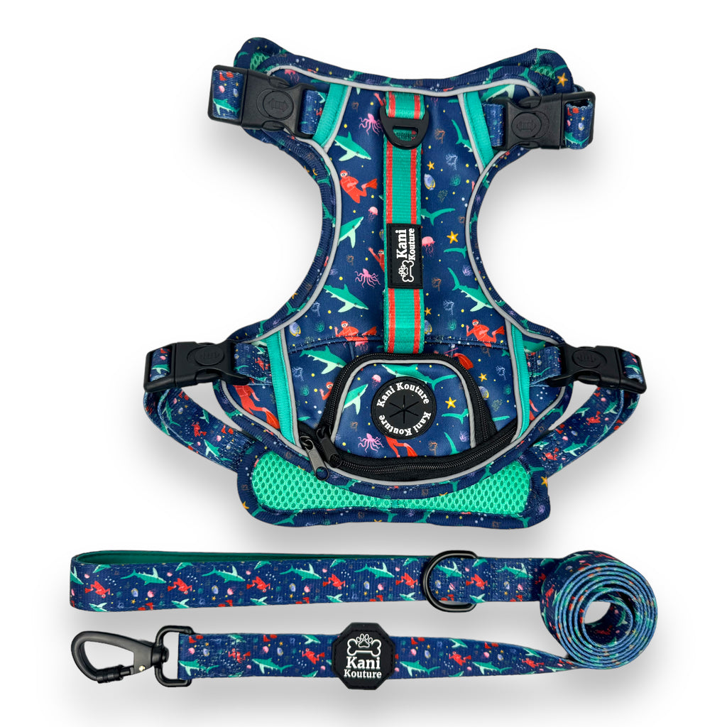 Scuba Dive - Adventure Harness