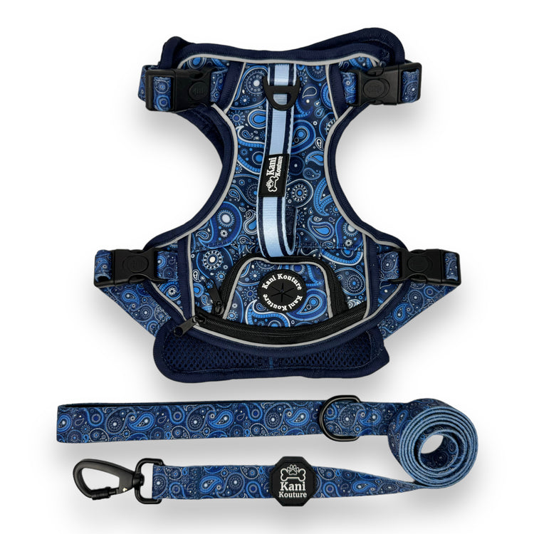 Blue Paisley - Adventure Harness