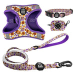 PB&J - Step-in Harness Bundle