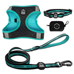 Tiffany Twilight- Step-in Harness Bundle