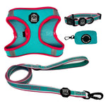 Miami Vice - Step-in Harness Bundle