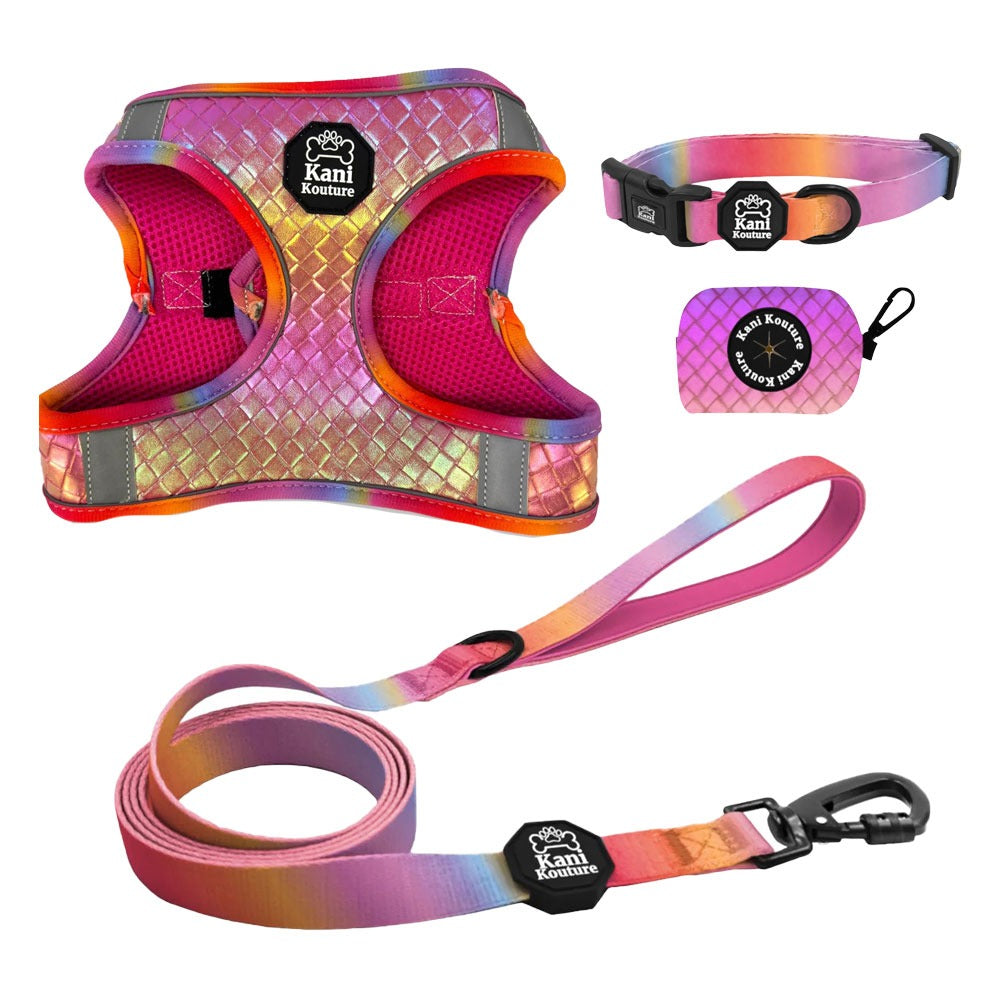 Fuchsia Meadows- Step-in Harness Bundle