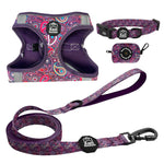 Purple Paisley Step In Harness Bundle