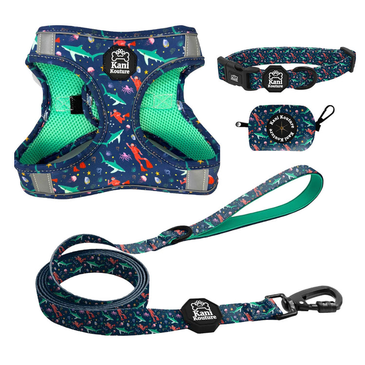 Scuba Dive - Step-in Harness Bundle